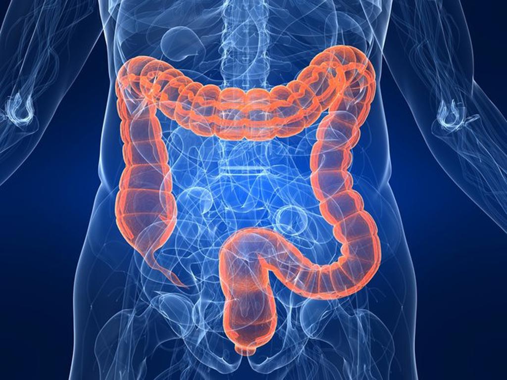 Gastrointestinal Hastalıklar (Sindirim  Sistemi Hastalıkları)